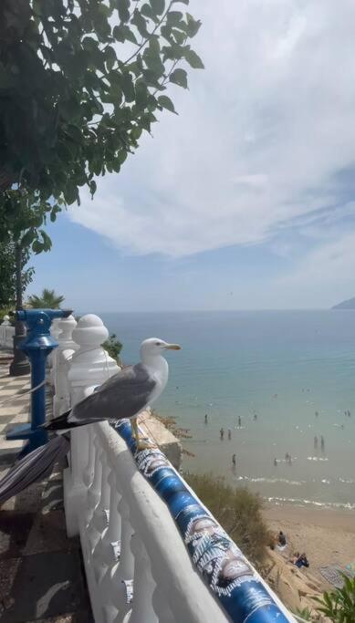 Apartamento Centrico Y En Primera Linea De Playa Διαμέρισμα Μπένιντορμ Εξωτερικό φωτογραφία