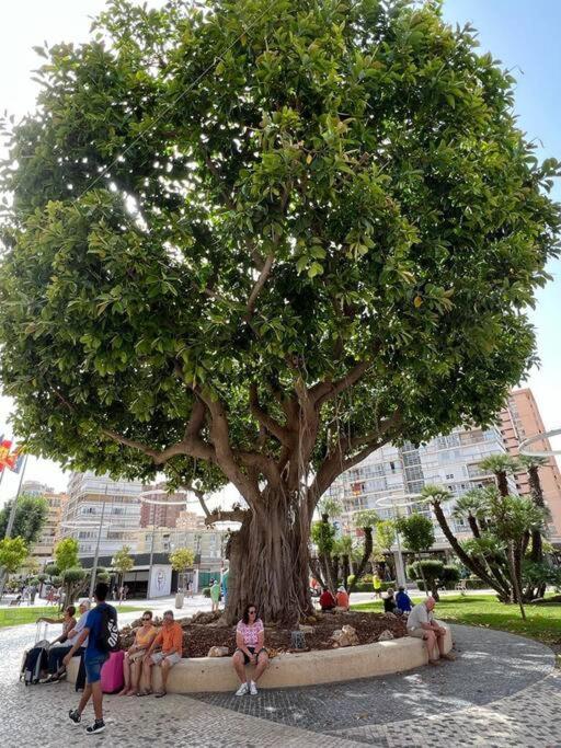 Apartamento Centrico Y En Primera Linea De Playa Διαμέρισμα Μπένιντορμ Εξωτερικό φωτογραφία